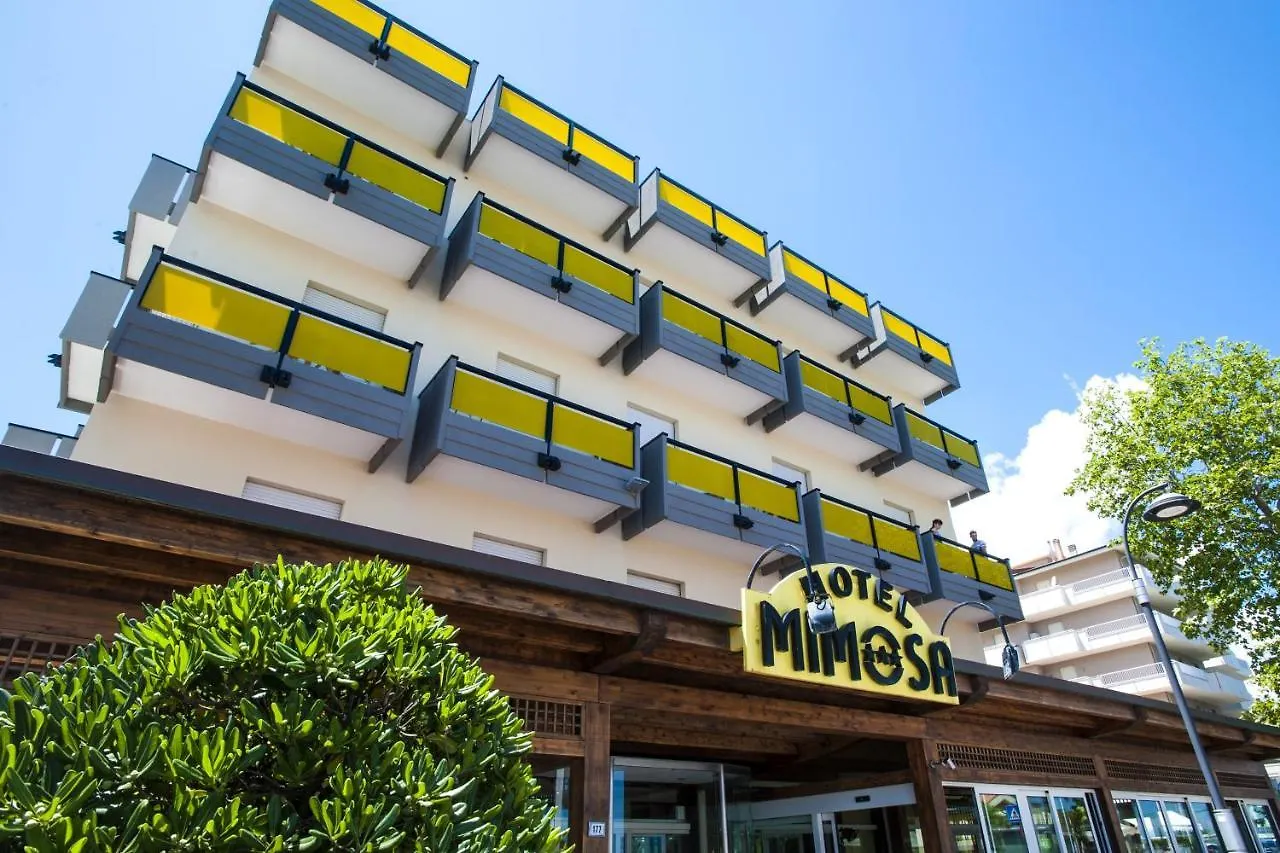 Hotel Mimosa Ριτσιόνε